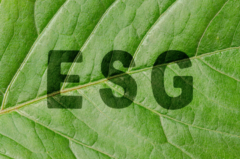 Wdrożyliśmy strategię ESG